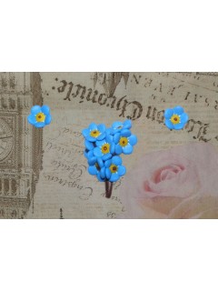 Set Brosa - Cercei Flori de Nu ma uita